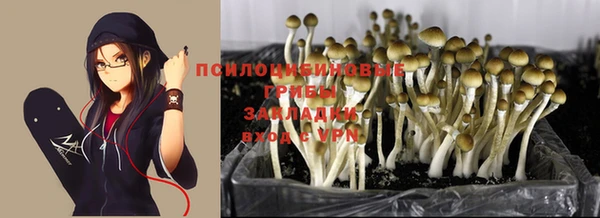 спиды Касимов
