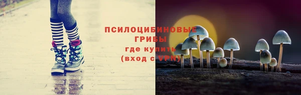 спиды Касимов