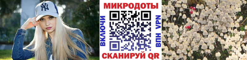 Купить  Белорецк  Псилоцибиновые грибы Psilocybe 